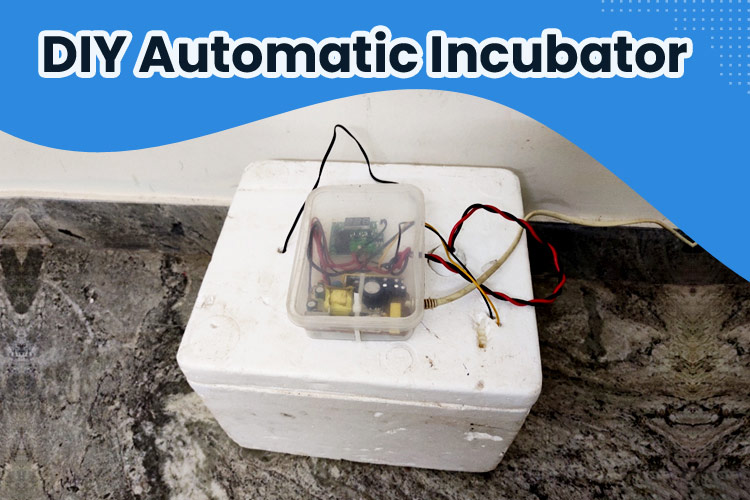 DIY Automatic Incubator 1 1